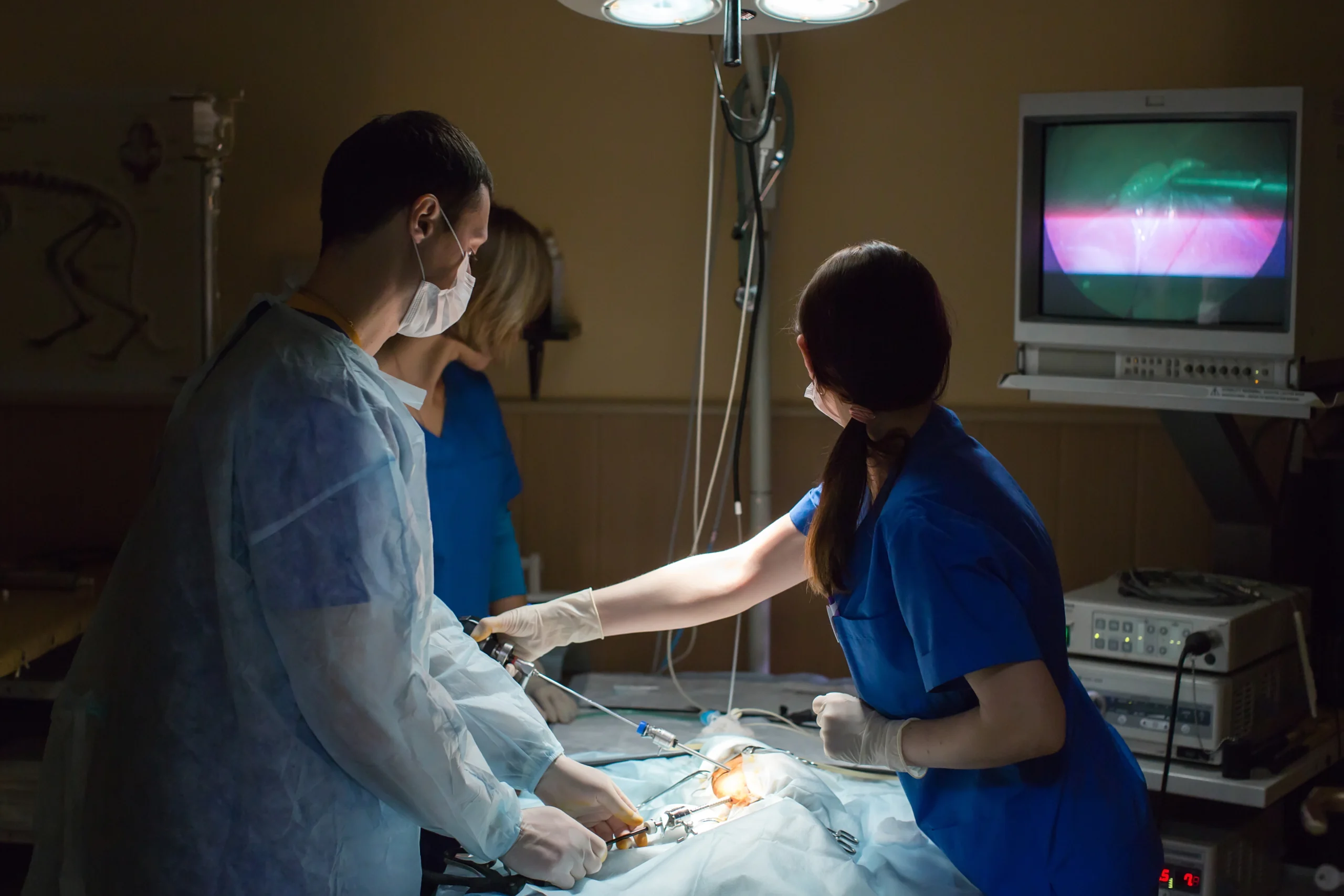 vets-doing-surgery-in-the-clinic-2025-01-10-20-41-50-utc